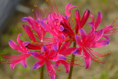 散歩の途中で。Ⅰ