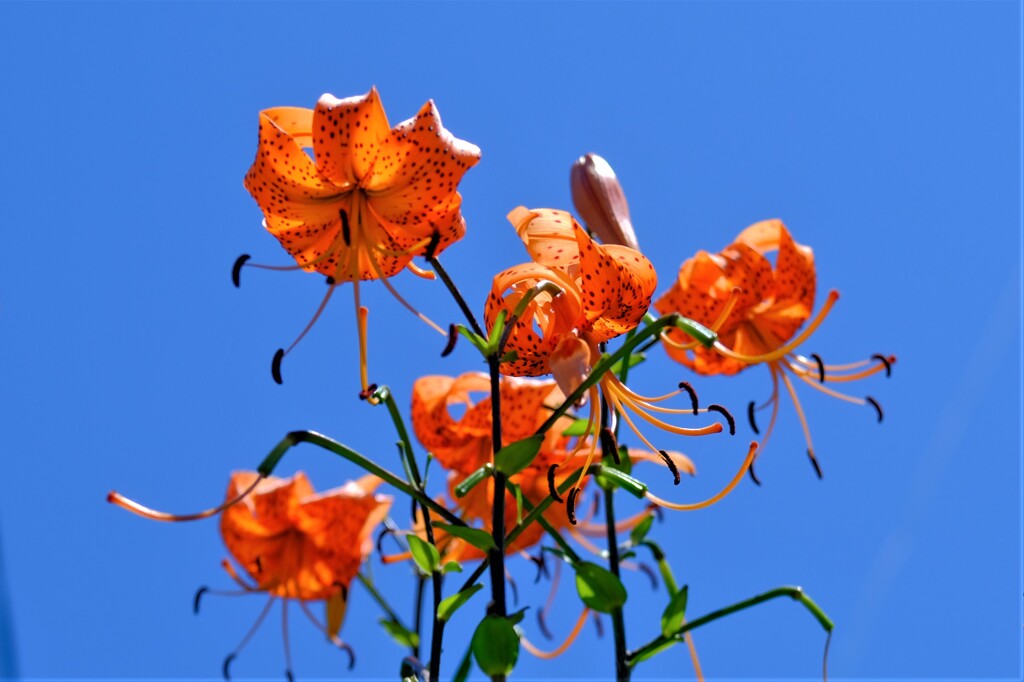 散歩の途中で。４