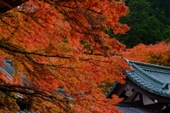 散歩の途中で、遠出 5