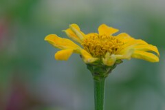 散歩の途中で。