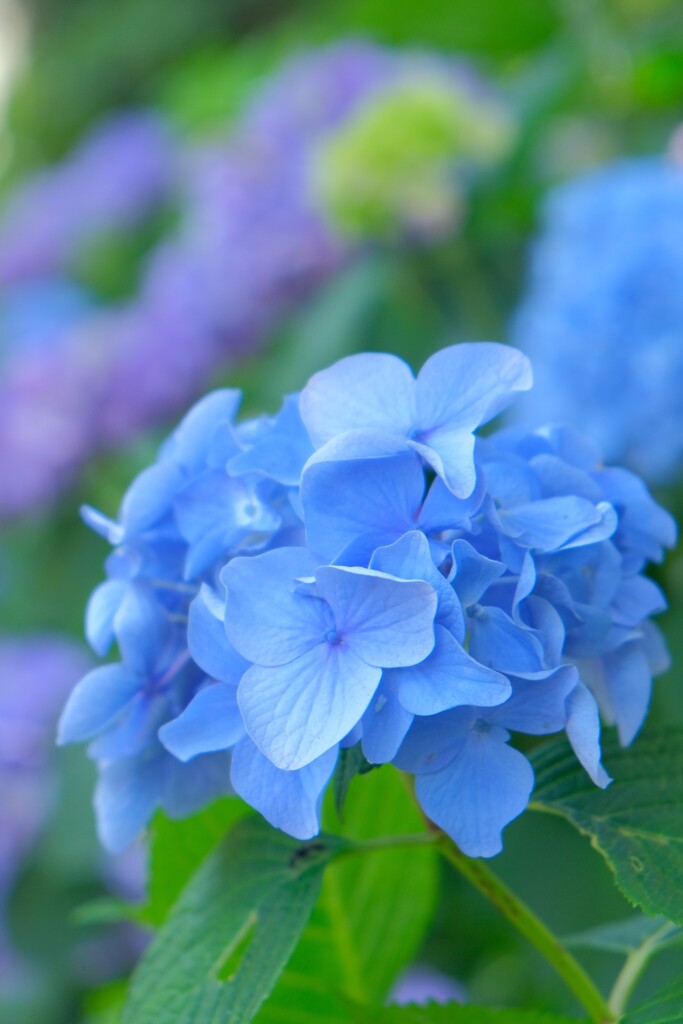 散歩の途中で。