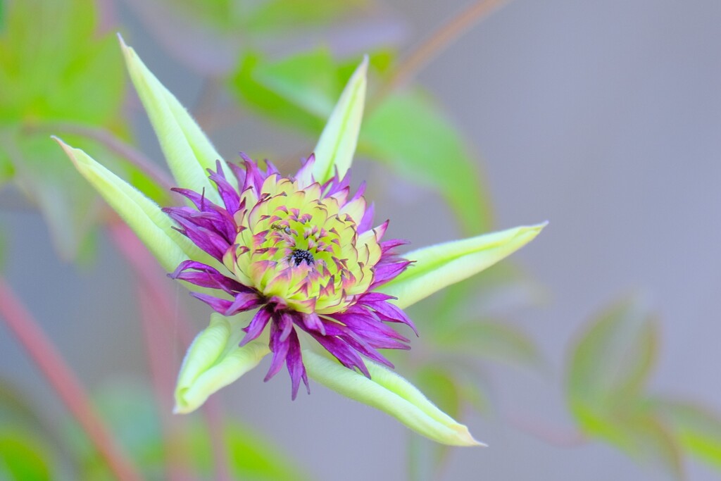 （５）散歩の途中で。5