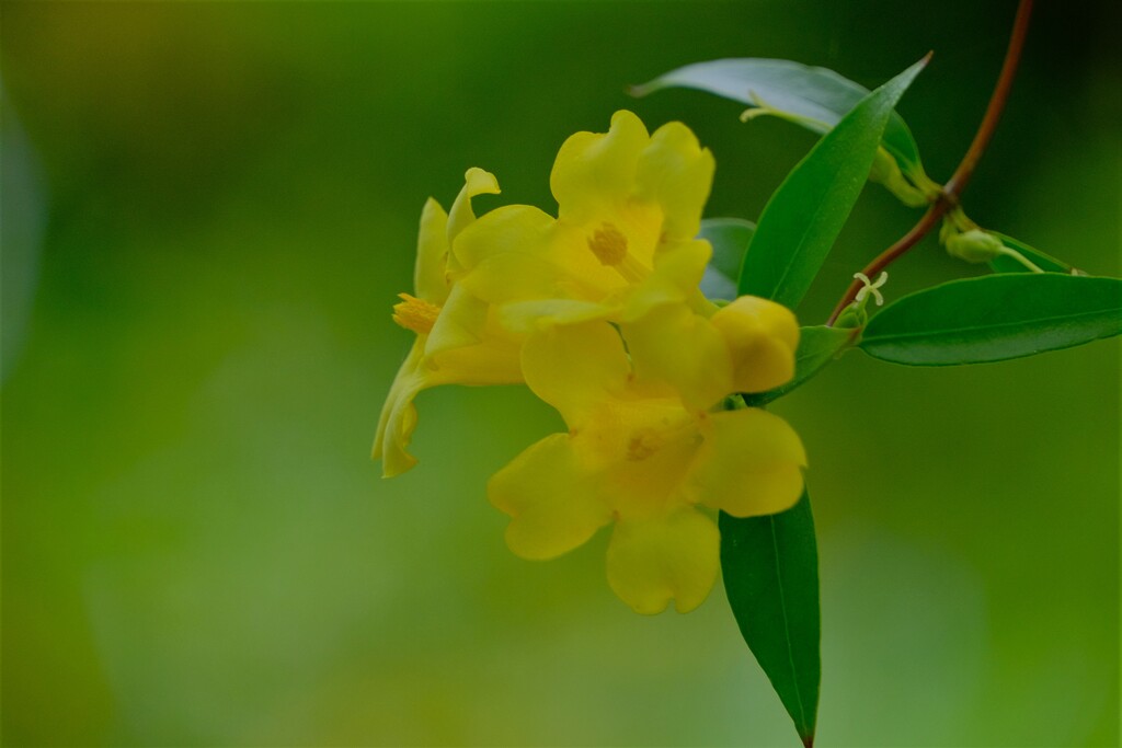 散歩の途中で。2