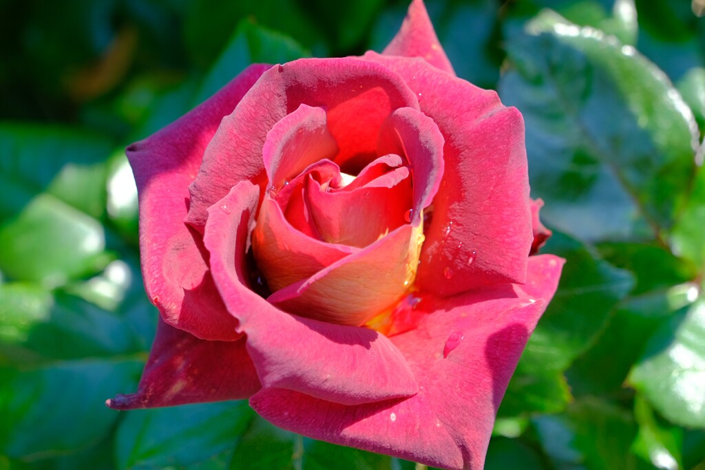 散歩の途中で。Ⅷ