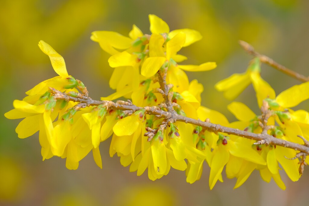 散歩の途中で。2