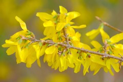 散歩の途中で。2