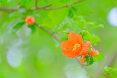 散歩の途中で。