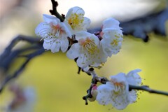 散歩の途中で。2