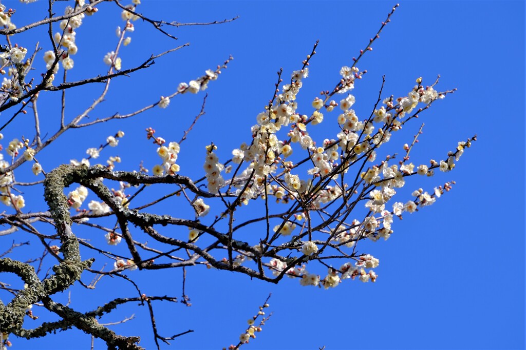 散歩の途中で。Ⅰ