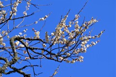 散歩の途中で。Ⅰ