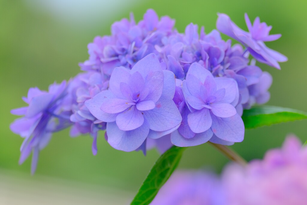 散歩の途中で。