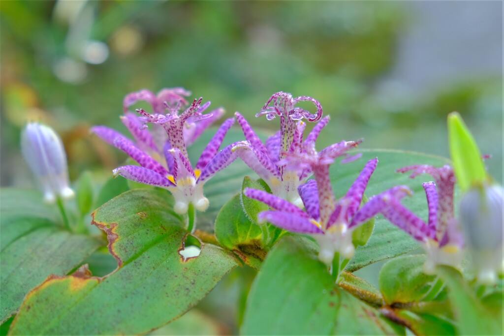 散歩の途中で。②