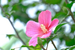 散歩の途中で。Ⅳ