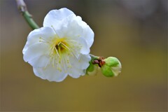 散歩の途中で。⑤