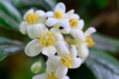 散歩の途中で。Ⅴ