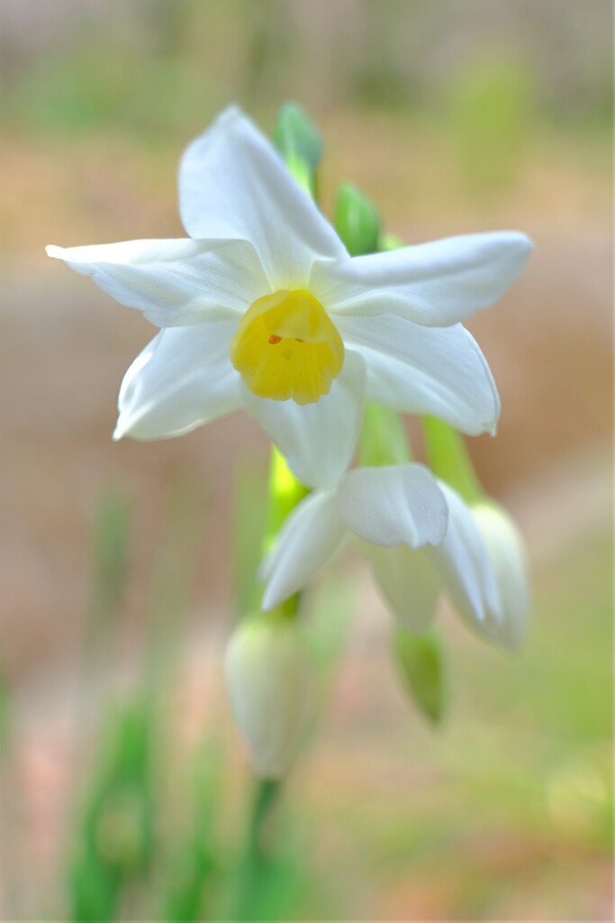 散歩の途中で。６