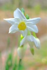 散歩の途中で。６