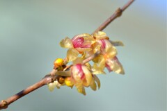 散歩の途中で。Ⅳ