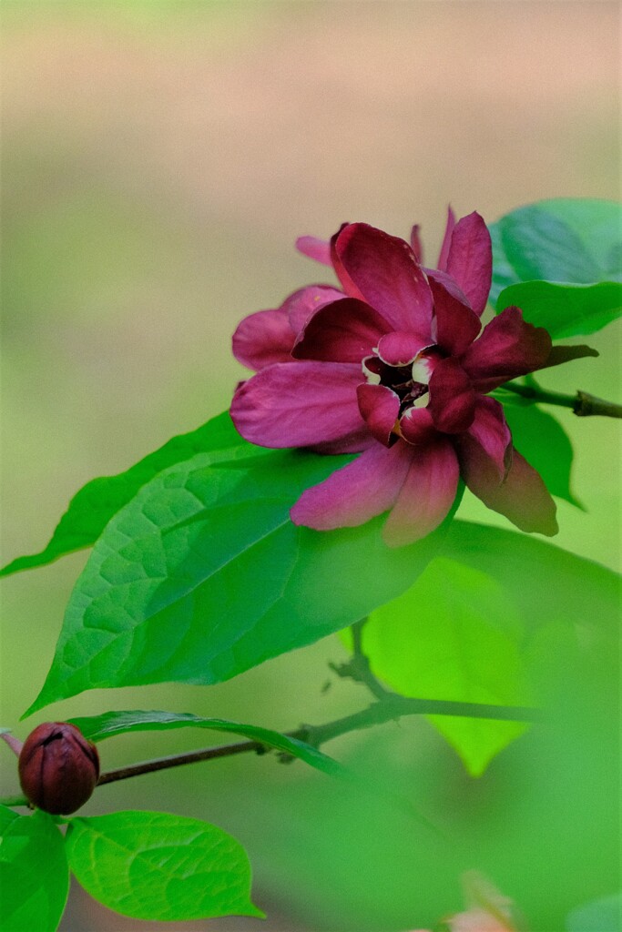 散歩の途中で。Ⅱ