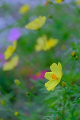 散歩の途中で。３