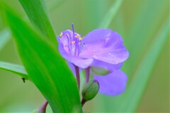 散歩の途中で。4