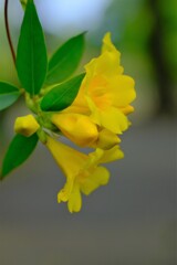 散歩の途中で。Ⅹ