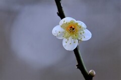 散歩の途中で。Ⅶ