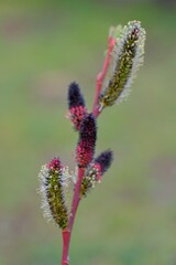 散歩の途中で。Ⅱ
