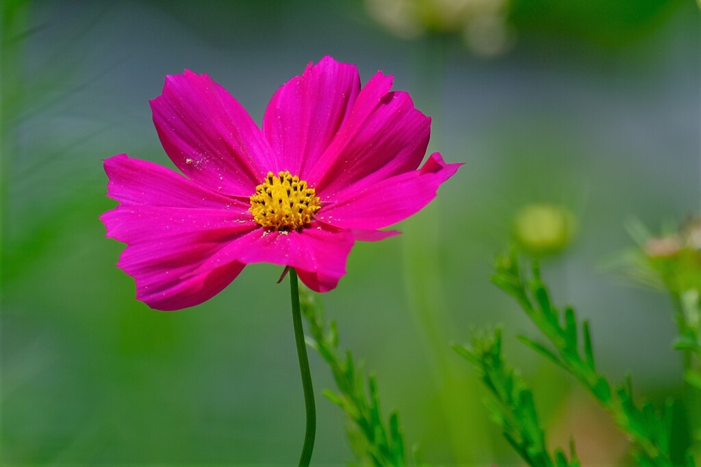 散歩の途中で。６