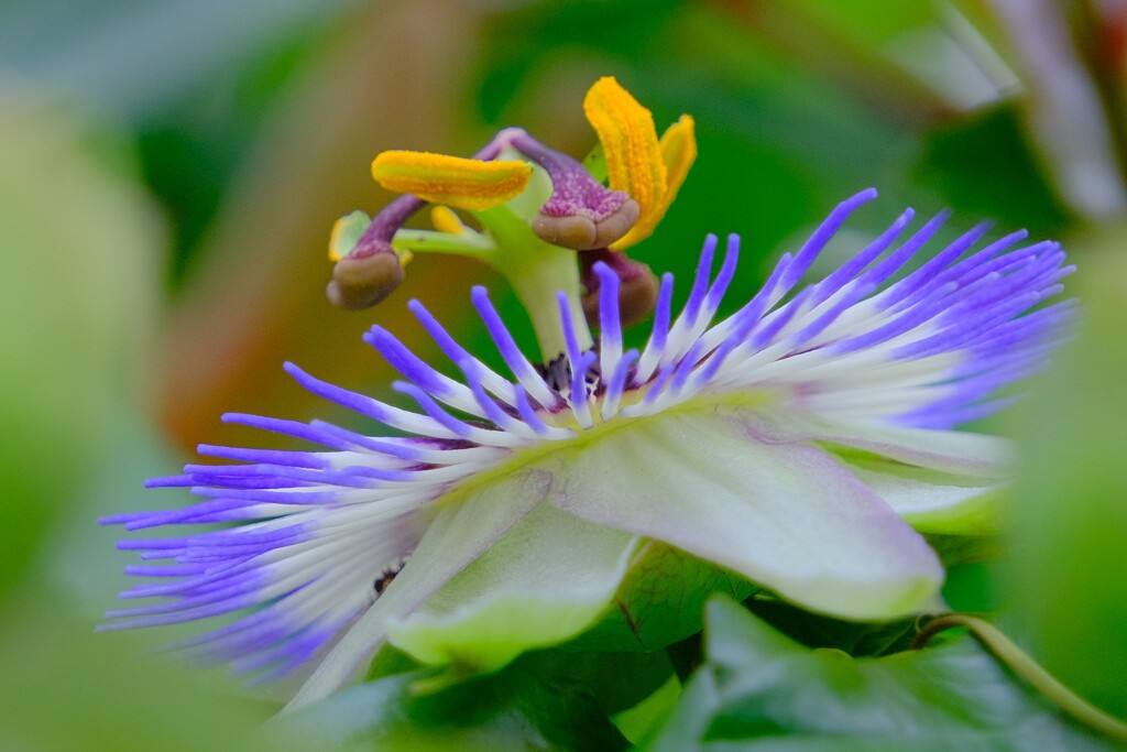 散歩の途中で。9