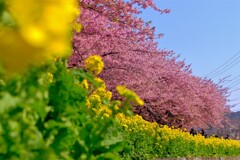 散歩の途中で。Ⅳ