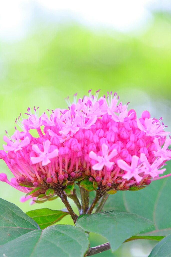 散歩の途中で。Ⅷ