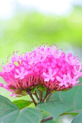 散歩の途中で。Ⅷ