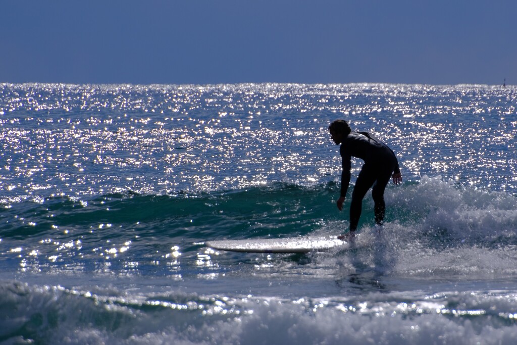 散歩の途中で。②