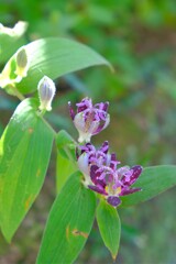 散歩の途中で。③