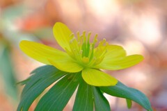 散歩の途中で。10