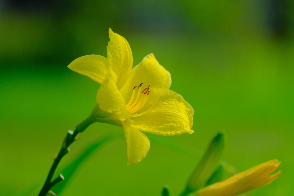 散歩の途中で。