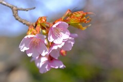 散歩の途中で。2