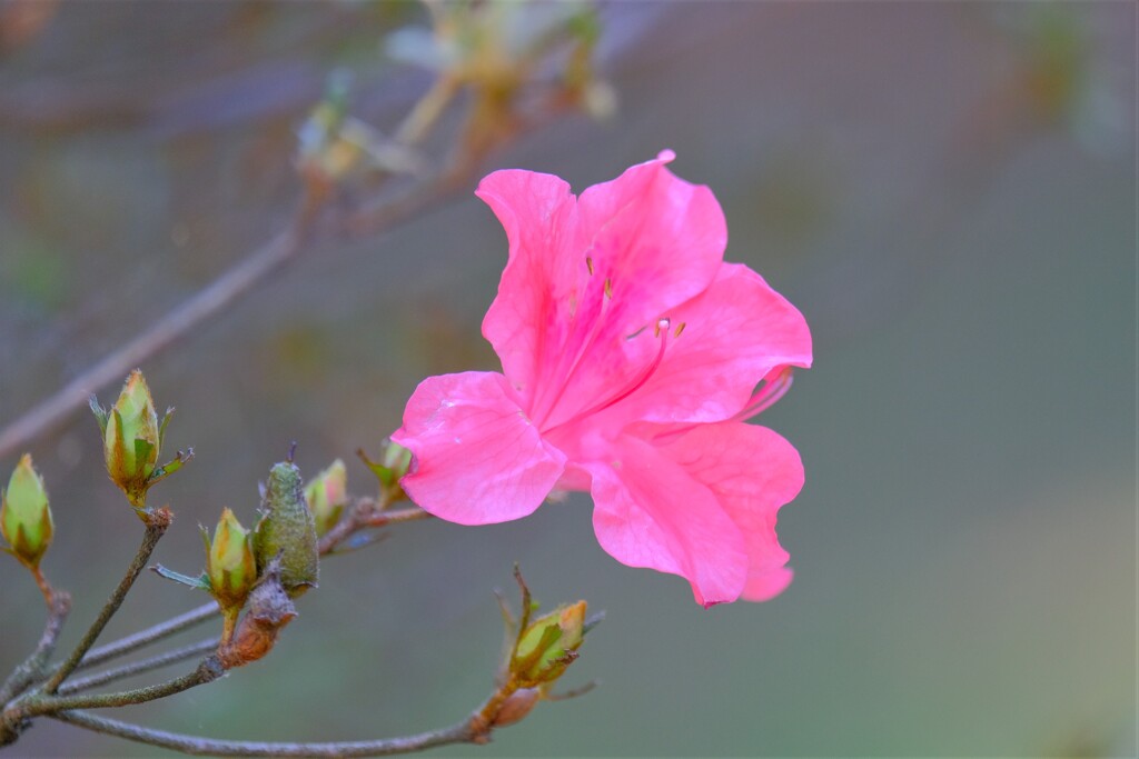 散歩の途中で、7