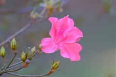 散歩の途中で、7