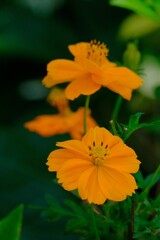 散歩の途中で。