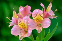 散歩の途中で。２