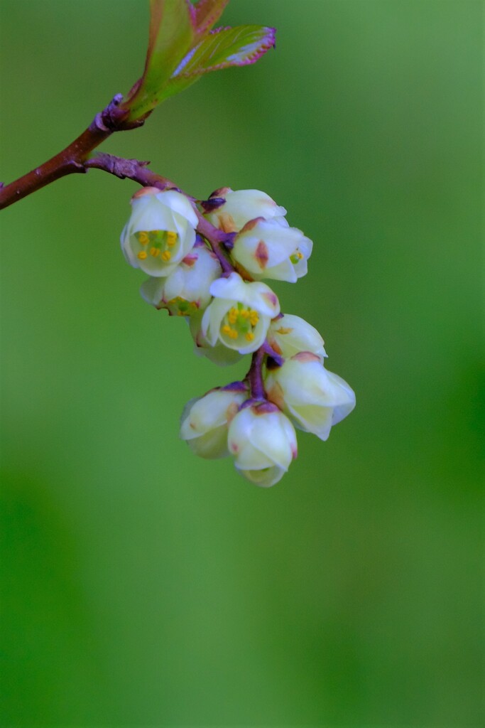 散歩の途中で。Ⅸ