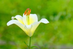 散歩の途中で。