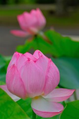 散歩の途中で。Ⅳ