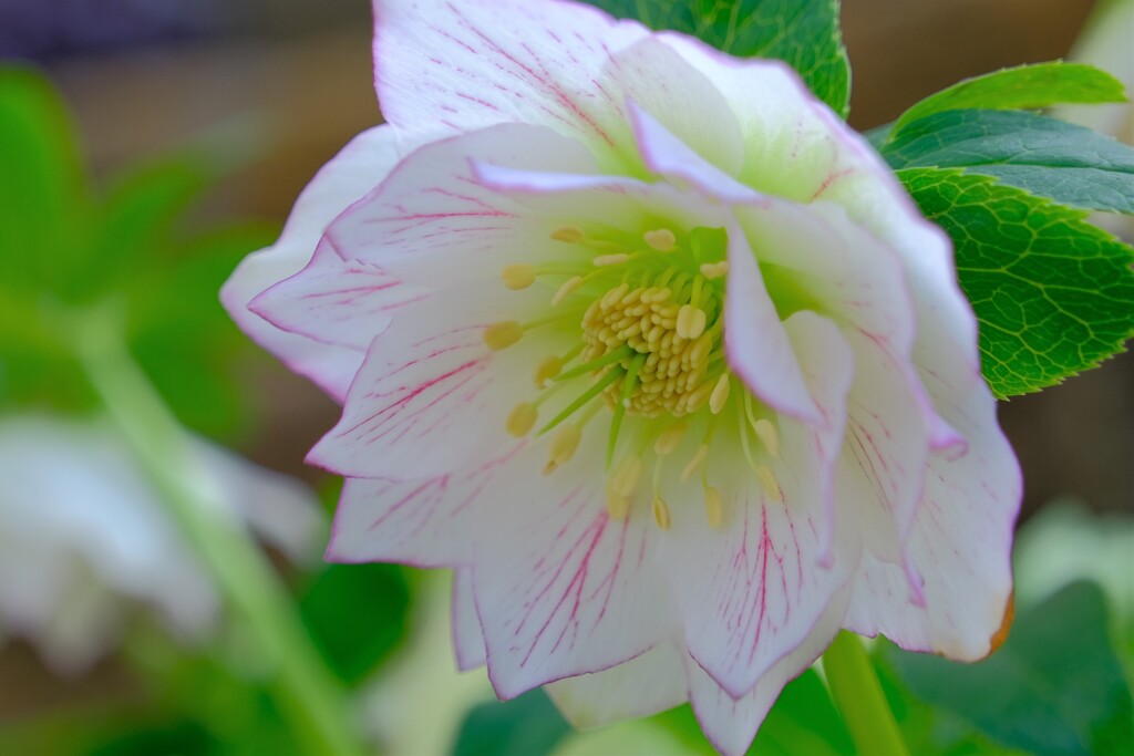 散歩の途中で。8