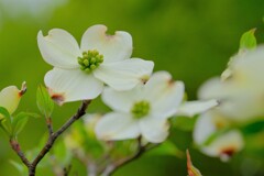 散歩の途中で。②