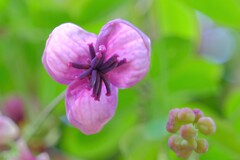 散歩の途中で。4