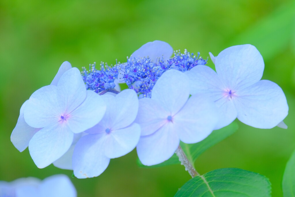 散歩の途中で。