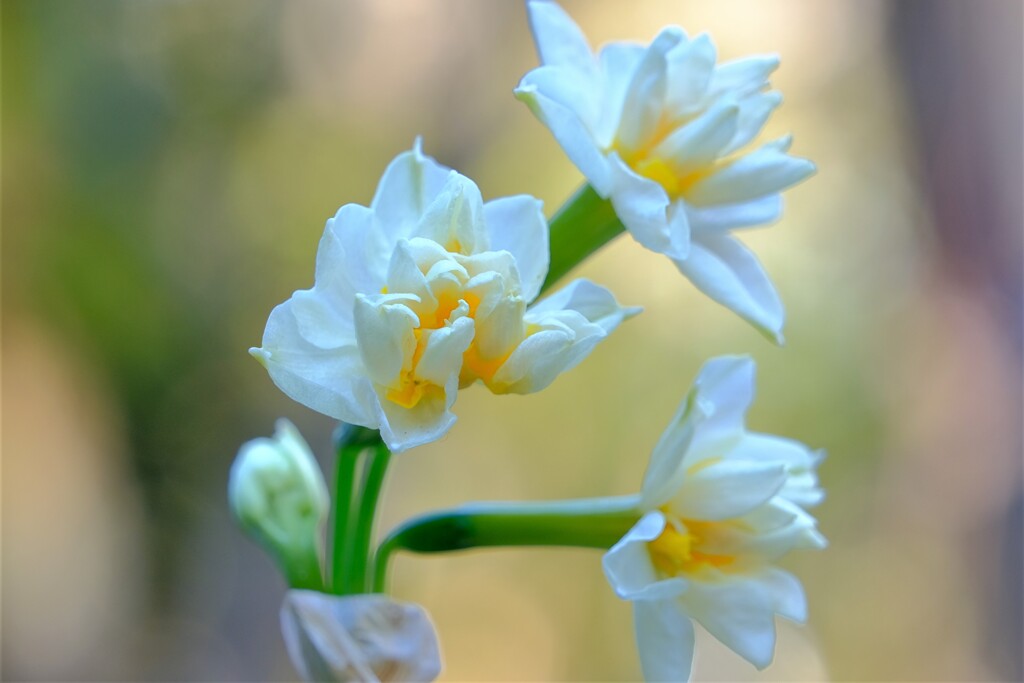 散歩の途中で。Ⅲ